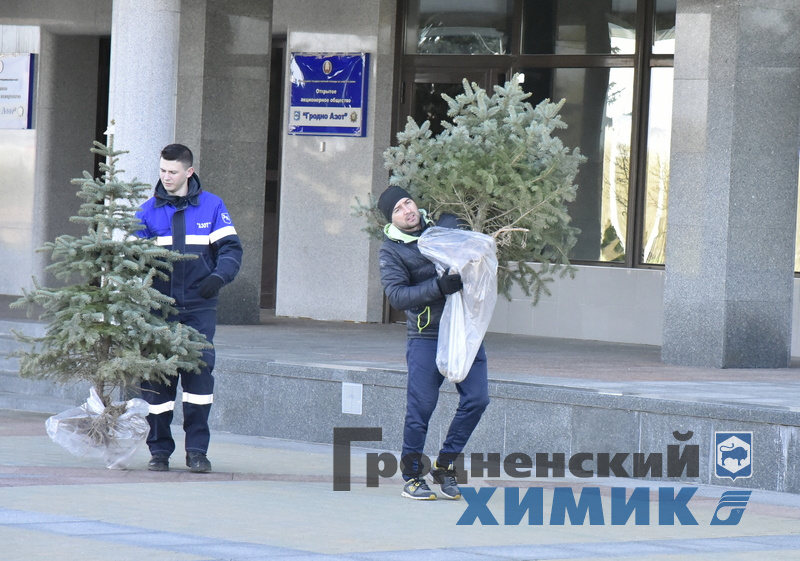 субб 7.jpg